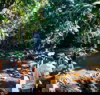 Aquaduck  Your choice of Gold Coast Rainforest Tour - Tourism Search