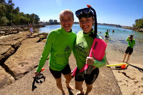 Manly Snorkel Trip And Nature Walk With Local Guide - Tourism Search 1
