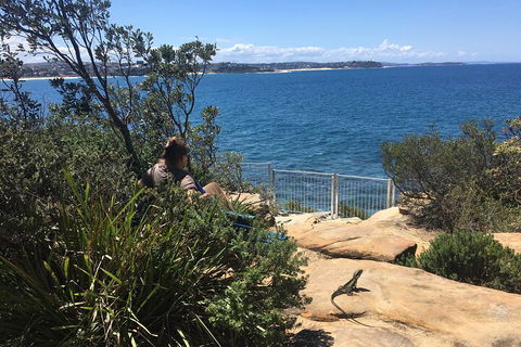 Manly Snorkel Trip And Nature Walk With Local Guide - Tourism Search 4