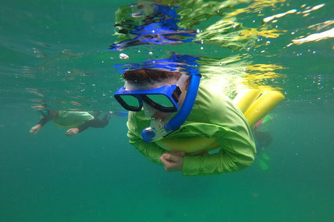 Manly Snorkel Trip And Nature Walk With Local Guide - Tourism Search 5
