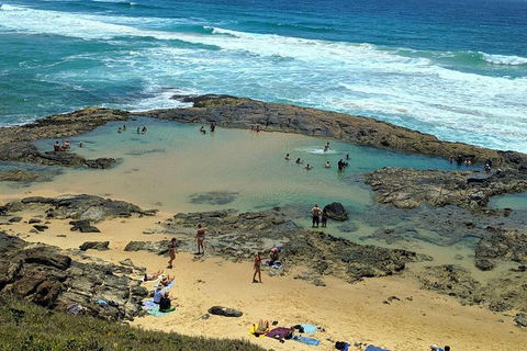 Pippies 3 Days 2 Nights Fraser Island Tour - Tourism Search 5