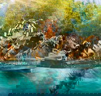 Croc Express to Australia Zoo from Brisbane