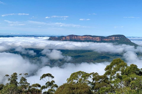 Small-Group Blue Mountains Tour With A Local Guide - Tourism Search 4