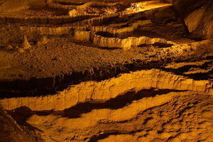 The Explorers' Discovery Tour - Gold, Wine & Wildlife