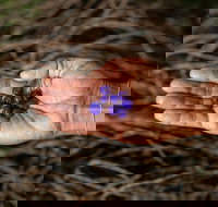 Cape Byron Aboriginal Tour - Tourism Search