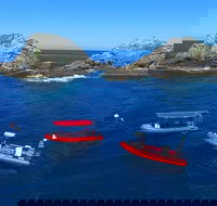 3-Hour Byron Bay Certified Scuba Diving Tour - Tourism Search