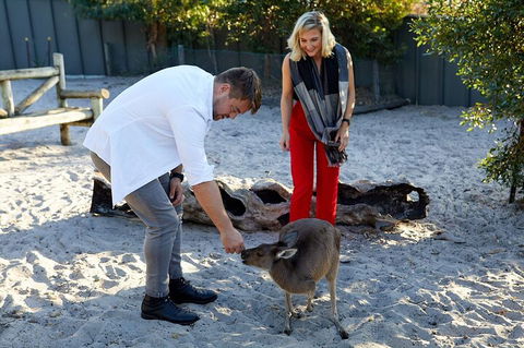 Albany's Whale Story - Tourism Search 1