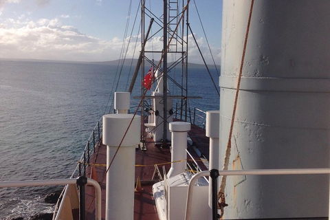 Albany's Whale Story - Tourism Search 2