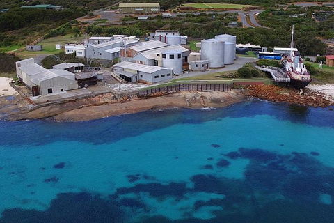 Albany's Whale Story - Tourism Search 4