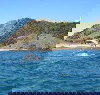 Kayaking with Dolphins in Byron Bay Guided Tour - Tourism Search