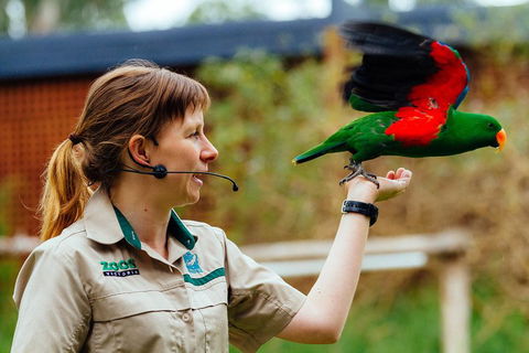 VIP Sanctuary Tour At Healesville Sanctuary Ticket - Tourism Search 0