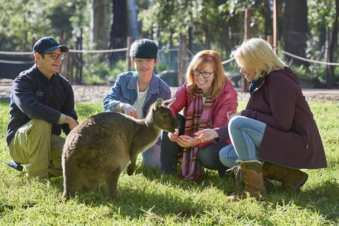 VIP Sanctuary Tour At Healesville Sanctuary Ticket - Tourism Search 2