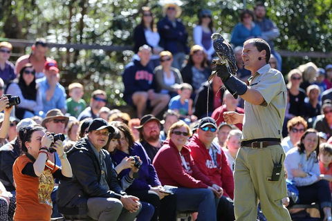 VIP Sanctuary Tour At Healesville Sanctuary Ticket - Tourism Search 4