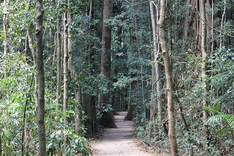 Eumundi Markets And Sunshine Coast Day Trip From Brisbane - Tourism Search 4