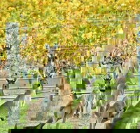 Margaret River Indulge and Discover Day Tour - Tourism Search