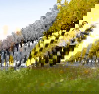 2-Day Private Daylesford  Macedon Ranges Gourmet Food Trail Tour from Melbourne - Tourism Search