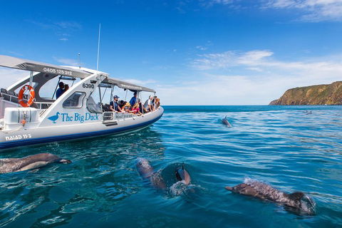 Victor Harbor And McLaren Vale Wine Region Day Tour - Tourism Search 1