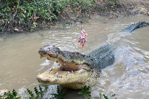 Top End Waterfalls And Wetlands - Tourism Search 0