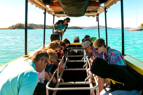 Airlie Beach Glass Bottom Boat Tour - Tourism Search 1