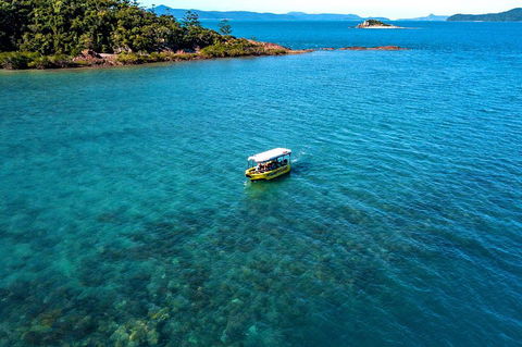 Airlie Beach Glass Bottom Boat Tour - Tourism Search 4
