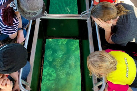 Airlie Beach Glass Bottom Boat Tour - Tourism Search 5
