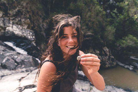 Springbrook AndTamborine Rainforest Tour Incl Natural Bridge And Glow Worm Cave - Tourism Search 1