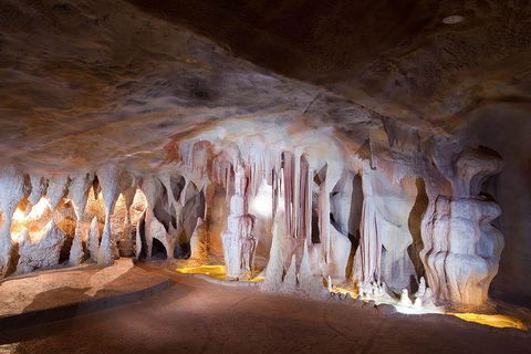 Springbrook AndTamborine Rainforest Tour Incl Natural Bridge And Glow Worm Cave - Tourism Search 4