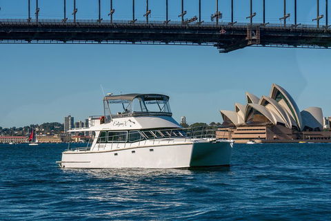 Vivid 90-Minute Sydney Harbour Small Group Catamaran Cruise - Tourism Search 2