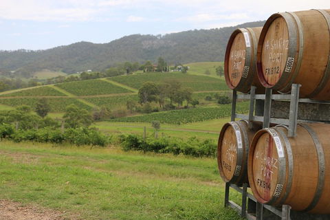 Hunter Valley Wine Tour From Sydney Incl Lunch, Cheese, Chocolate And Distillery - Tourism Search 5