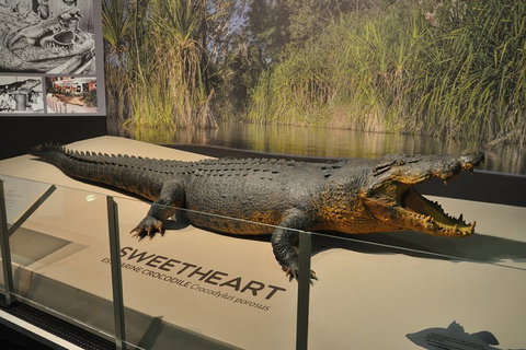 Explore Darwin City Sights Including Key Attractions - Tourism Search 2