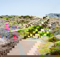 Margaret River Coastal and Wildlife Eco Trip from Busselton or Dunsborough - Tourism Search